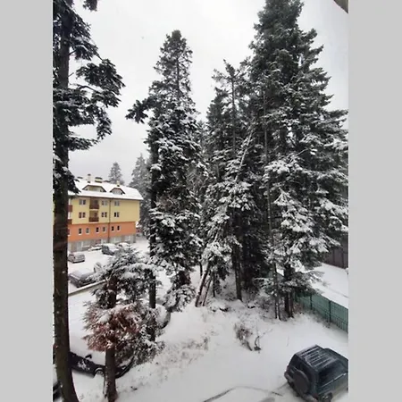 Cozy One Bedroom In Iglika Complex Borovets