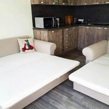 Cozy One Bedroom In Iglika Complex Apartament Boroveț