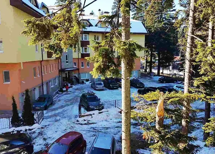 Cozy One Bedroom In Iglika Complex * Borovets