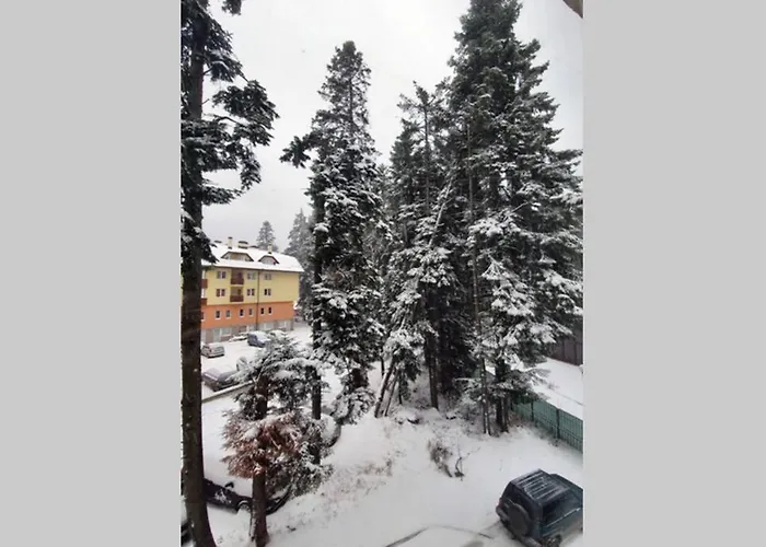 Cozy One Bedroom In Iglika Complex Borowec